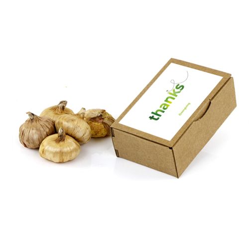 Kraft box medium flower bulbs - Image 1